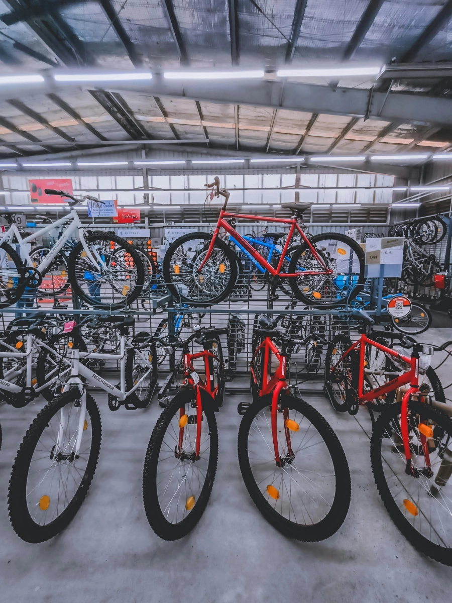 Inside Alf's Cycles bike shop showing rows of bicycles