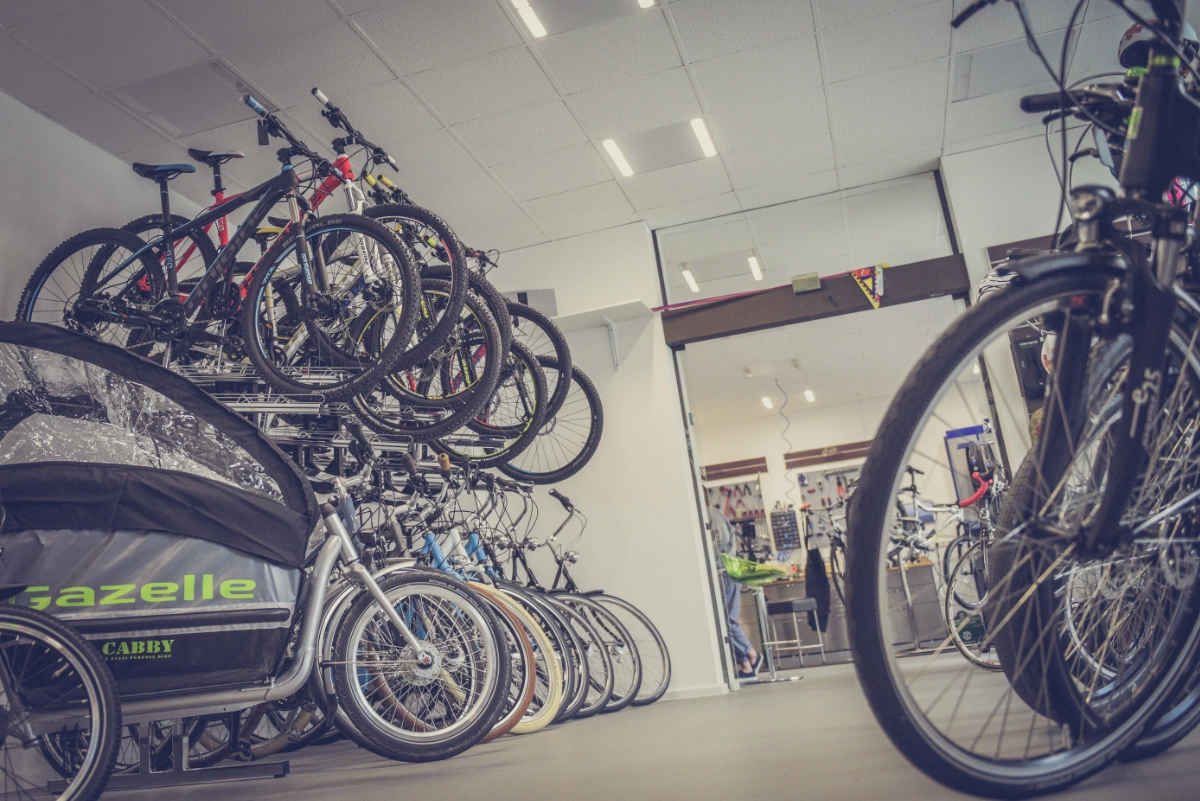 Bikes lined up in store