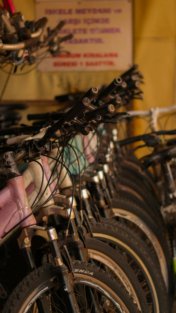 Bikes displayed inside the shop